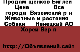 Продам щенков Биглей › Цена ­ 15 000 - Все города, Вяземский р-н Животные и растения » Собаки   . Ненецкий АО,Хорей-Вер п.